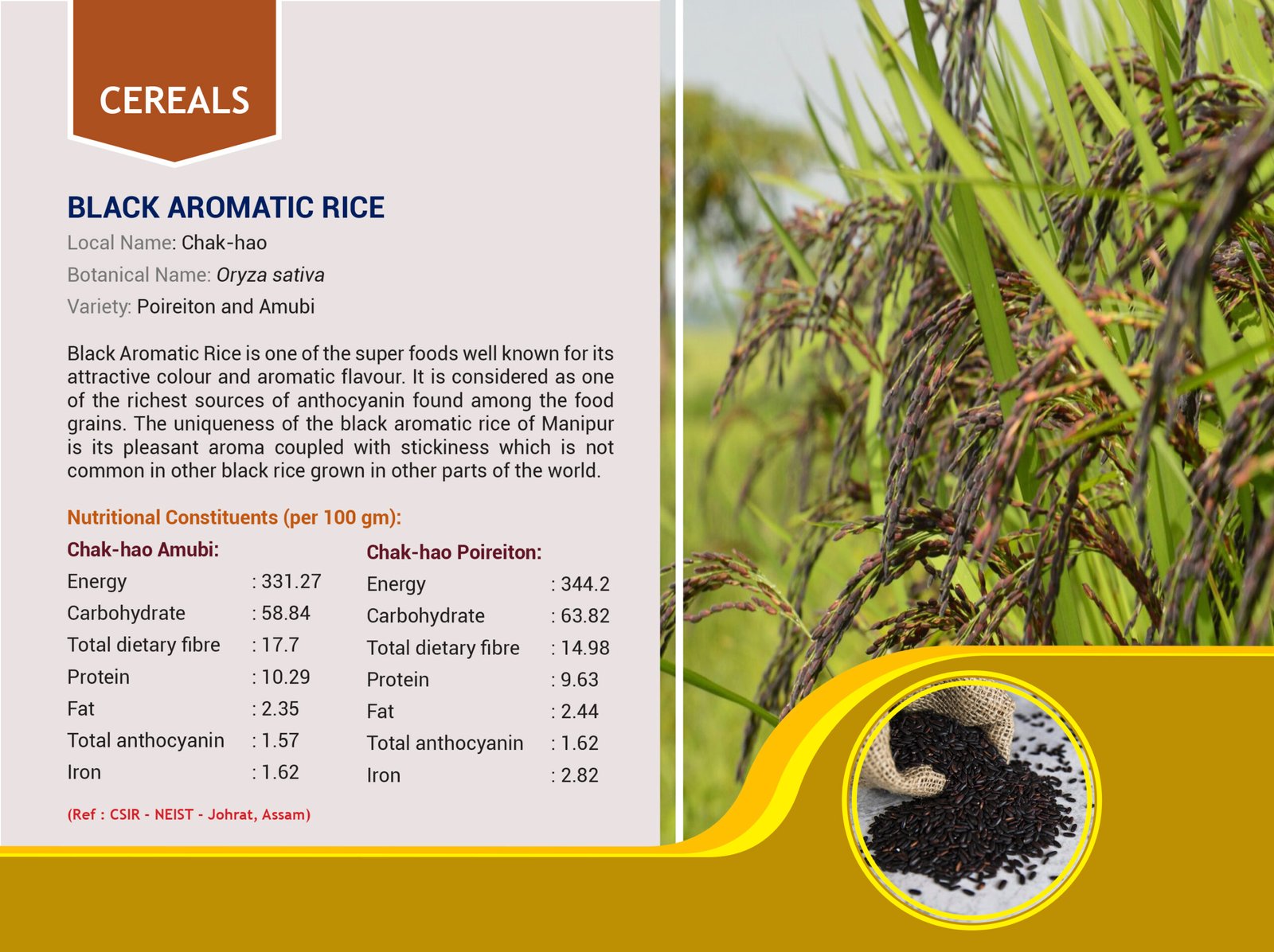 Organic Manipur Chak-Hao Aromatic Black Rice, Premium Forbidden Rice from Manipur, Black Sticky Rice, 500 Grams - Image 4